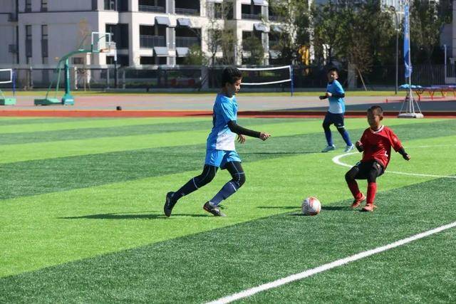 中国男篮8强战以逸待劳 赔率:复仇韩国晋级4强